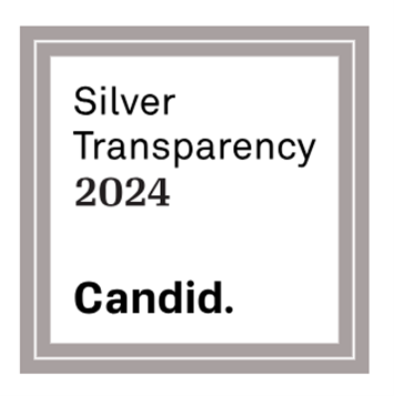 Silver Transparency 